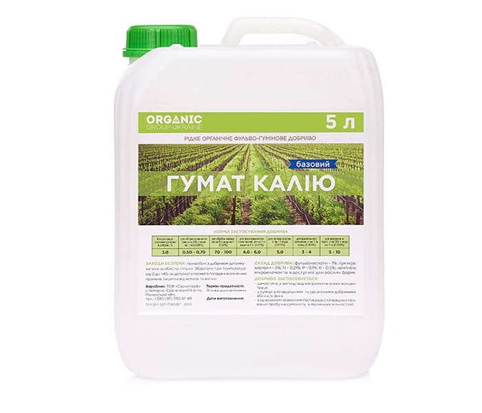 Морози пошкодили картоплю! Що робити? 2